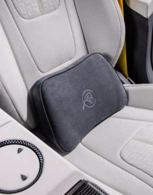 LUMBAR SUPPORT CUSHION